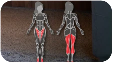 Muscles worked indication